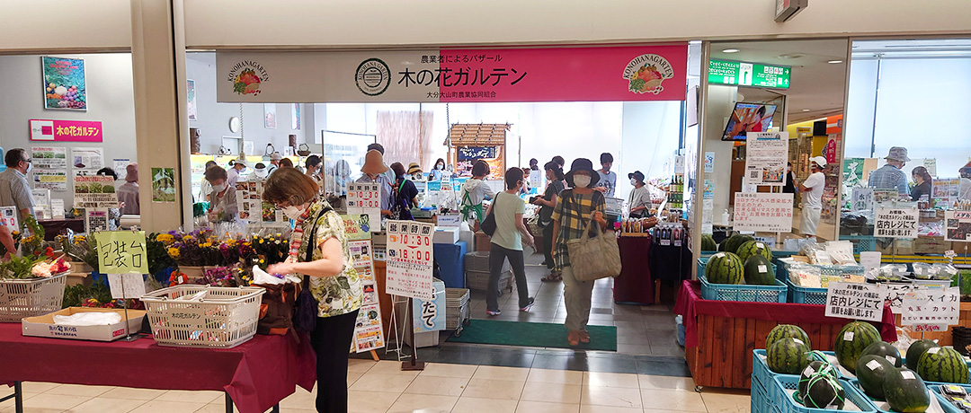 木の花ガルテン　ももち浜店 - TNC放送会館